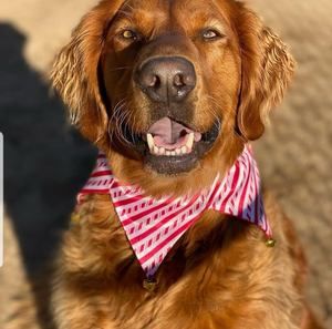 Meet your Posher, Martie